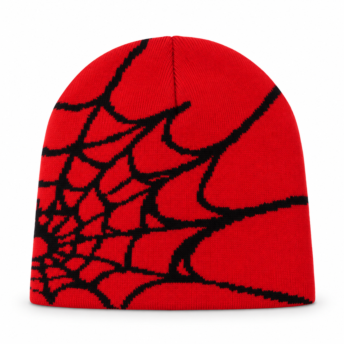 SPYDER Beanie